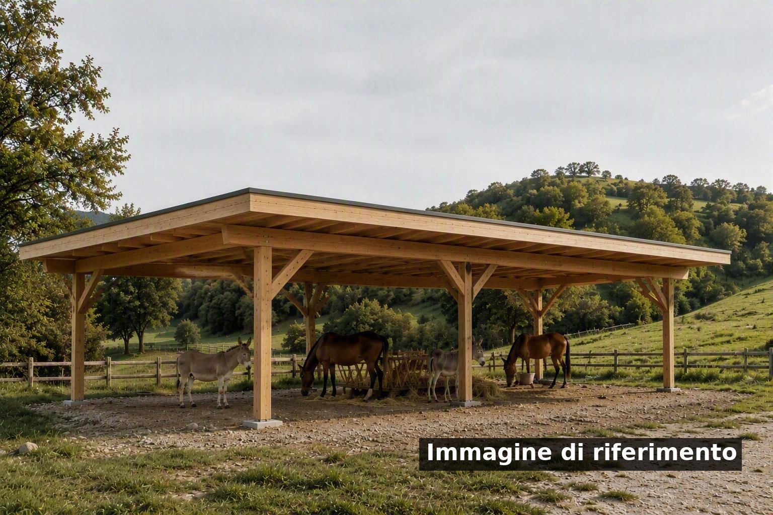 Zone per animali